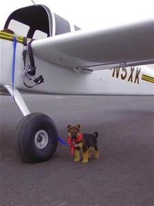 Val by Prospector (Medium)